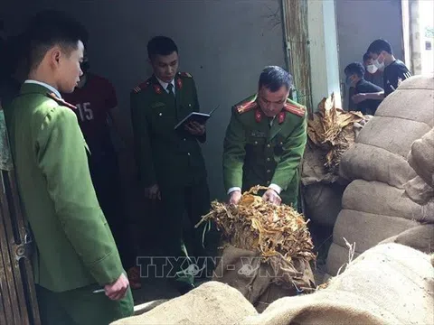 Cao Bằng: Thu giữ hơn 18 tấn thuốc lá nhập lậu tại địa bàn huyện Trùng Khánh