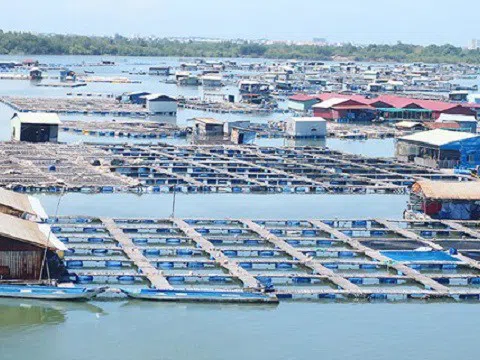Thanh Hóa: Khó khăn trong tiếp cận các chính sách hỗ trợ phát triển thủy sản