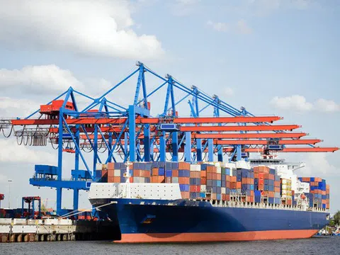 Các hãng tàu vận tải container phải minh bạch giá cước vận chuyển
