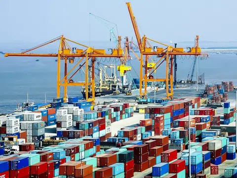 Các hãng tàu cần thực hiện nghiêm túc quy định về giá cước vận chuyển container