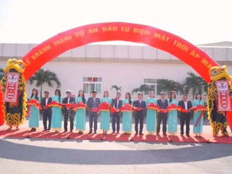 Quảng Nam: Tập đoàn Sơn Hà khánh thành 2 dự án điện mặt trời công suất lớn tại huyện Núi Thành