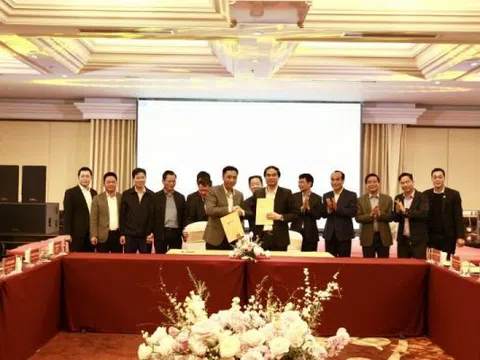 Tập đoàn T&T Group hợp tác chiến lược với 2 tỉnh Lào Cai và Cà Mau