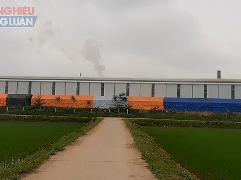 Huyện Tam Nông (Phú Thọ): Khói nhà máy làm… cháy lúa của người dân?