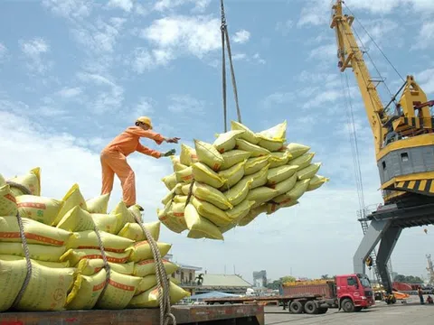 182 thương nhân đủ điều kiện kinh doanh xuất khẩu gạo