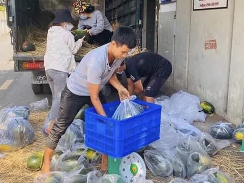 TP Hồ Chí Minh chung tay ‘giải cứu’ nông sản cho nông dân