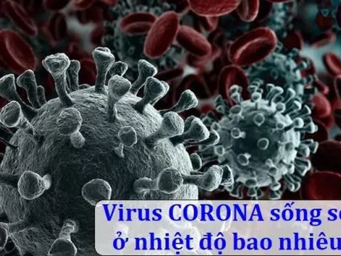 Virus corona (Covid-19) sống sót trong nhiệt độ bao nhiêu?