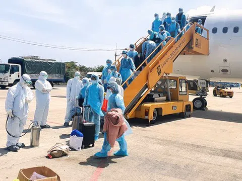 Đà Nẵng: Họp khẩn vấn đề 20 khách Hàn Quốc có phương án bố trí chuyến bay đưa về nước