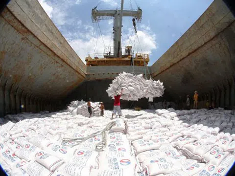 Xuất khẩu gạo tăng vọt giữa khó khăn COVID-19
