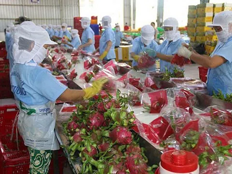 Dự báo Trung Quốc tăng nhập khẩu nông sản vào đầu tháng 4