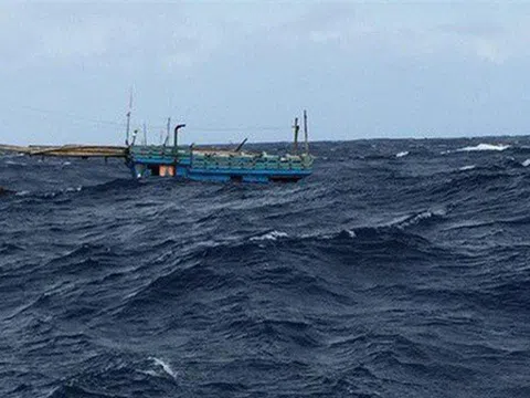 Khẩn cấp xác minh thông tin 8 ngư dân mất tích cùng tàu cá