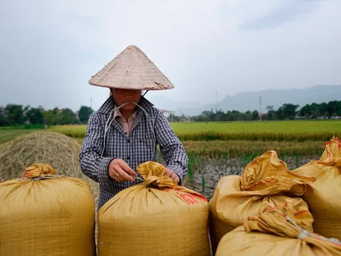 Tháng 4, Việt Nam sẽ xuất khẩu 400.000 tấn gạo