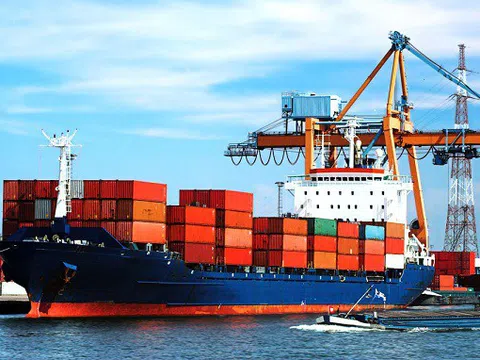 Chính phủ yêu cầu xem xét miễn, giảm thuế, phí, giá…cho các doanh nghiệp vận tải biển