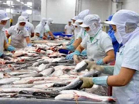 Mỹ nới lỏng quy định dán nhãn cá tra, cá thịt trắng