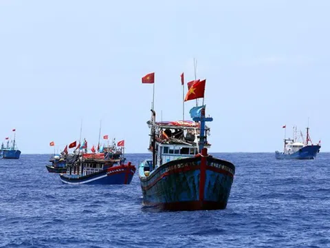 Hội Nghề cá Việt Nam kịch liệt phản đối hành động phi lý của Trung Quốc