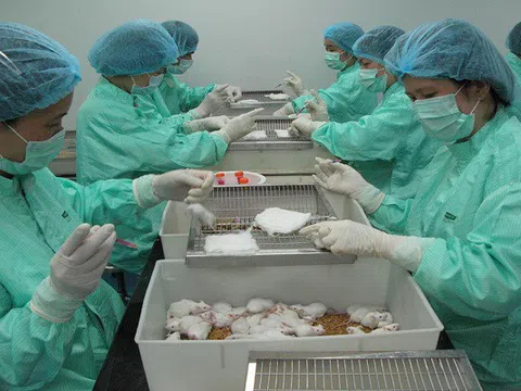 Triển vọng vaccine Covid-19 tại Việt Nam