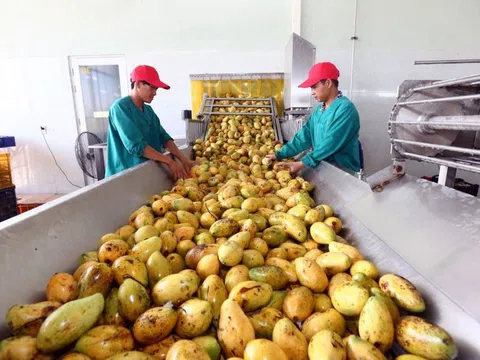 Người Nhật, Mỹ… mạnh tay mua nông sản Việt