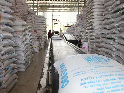 Làm rõ, xử lý nghiêm sai phạm trong đấu thầu mua gạo dự trữ quốc gia 2020