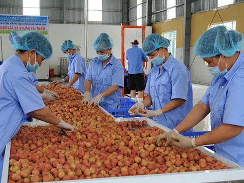 Nông sản Việt cần mở rộng thị trường