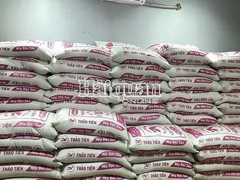 Quảng Bình: Khởi tố vụ buôn lậu hơn 14 tấn gạo