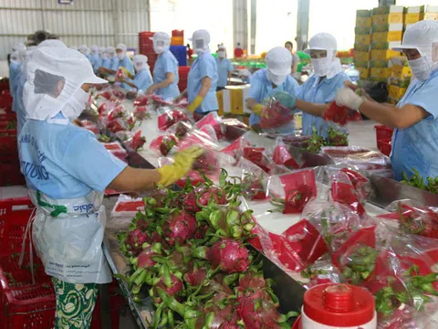 Việt Nam chuẩn bị xuất khẩu nhiều nông sản sang EU