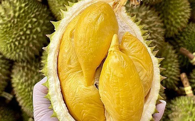 Sầu riêng Việt soán ngôi Thái Lan tại thị trường Trung Quốc