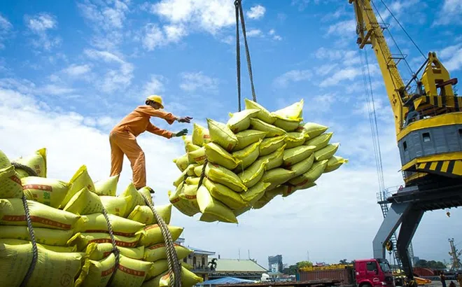 Ba tháng đầu năm, xuất khẩu gạo của Việt Nam tăng khoảng 42%