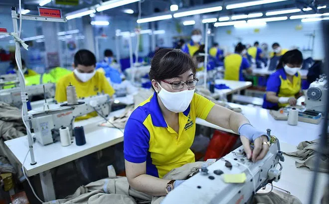 Doanh nghiệp kỳ vọng được gia hạn thời hạn nộp thuế năm 2024