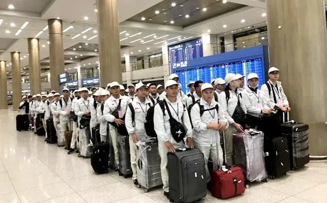 Nửa đầu năm 2024, hơn 78.000 lao động Việt Nam ra nước ngoài làm việc