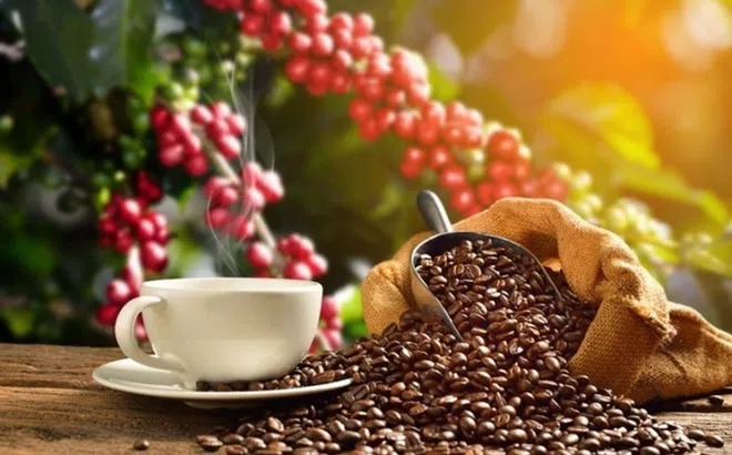 Giá cà phê Việt Nam sắp phá đỉnh lịch sử