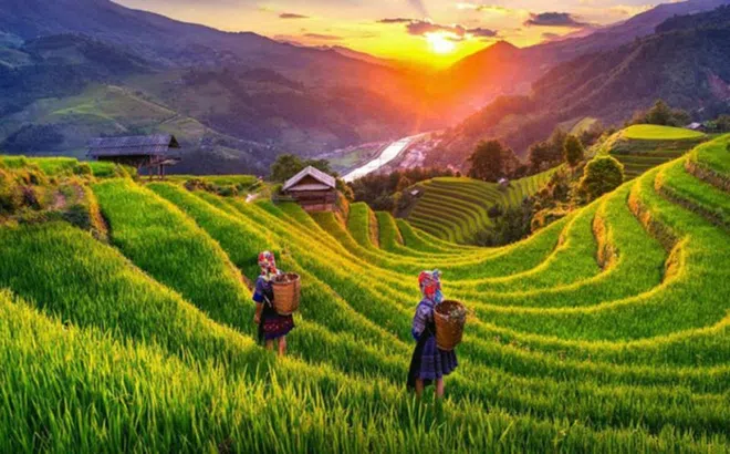 Việt Nam vào top 10 điểm đến an toàn nhất châu Á năm 2024