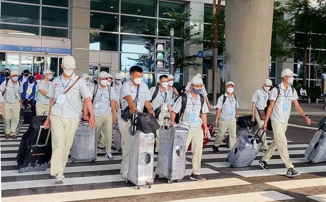 Hơn 113.000 lao động đi làm việc tại nước ngoài trong 9 tháng