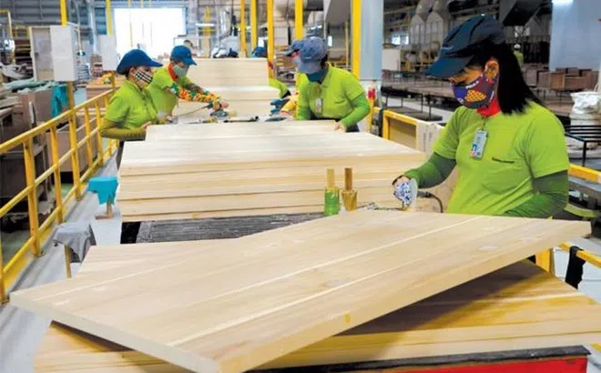 10 tháng, kim ngạch xuất khẩu gỗ vượt 13 tỷ USD