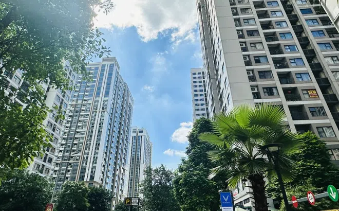Các dự án chung cư có tốc độ tăng giá mạnh nhất
