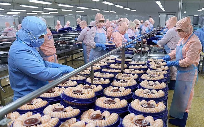 Xuất khẩu hàng hóa sang Nhật đạt hơn 4 tỷ USD trong 2 tháng