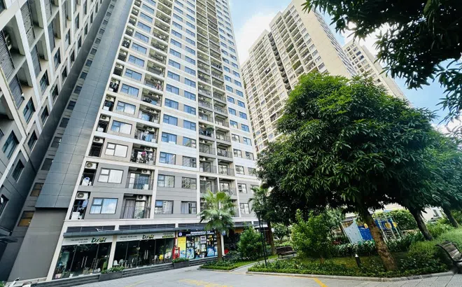 Thuê căn hộ vẫn là sự lựa chọn của nhiều người