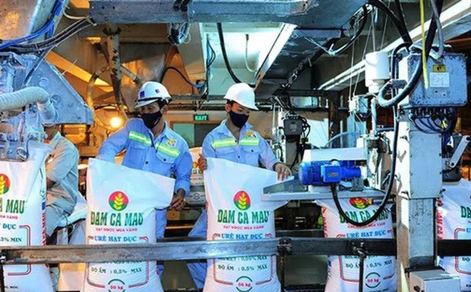 Doanh nghiệp hóa chất - phân bón lãi đậm