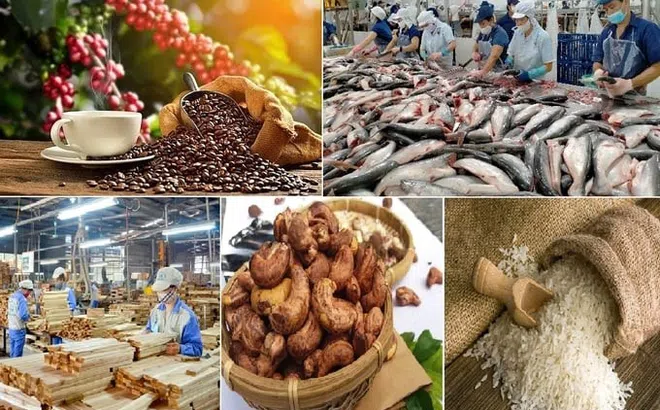 Tăng tốc để xuất khẩu nông lâm thuỷ sản cán đích 65 tỷ USD