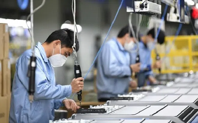 Thu nhập bình quân tháng của người lao động trong quý II/2025 đạt 8,2 triệu đồng