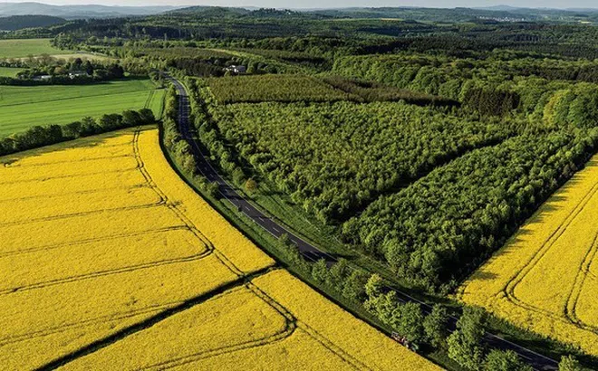 Chính thức bỏ khung giá đất, tiến hành điều chỉnh theo dữ liệu thị trường