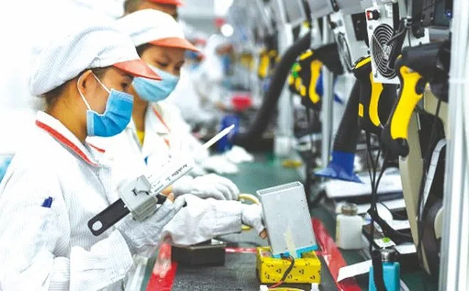 Hơn 209.000 doanh nghiệp lập mới và quay trở lại thị trường trong 8 tháng