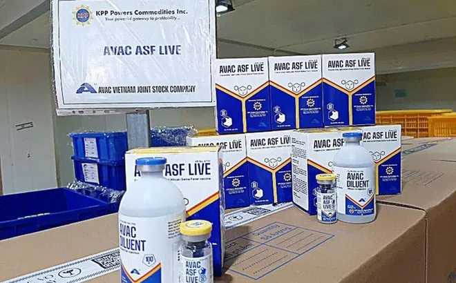 Việt Nam xuất khẩu 340.000 liều vaccine dịch tả lợn châu Phi sang Philippines