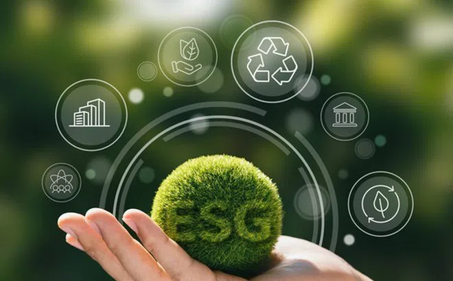 Sự khác biệt của hai quỹ mở ESG tại Việt Nam