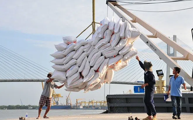 9 tháng qua, Việt Nam đã chi đến 1,51 tỷ USD để nhập khẩu gạo