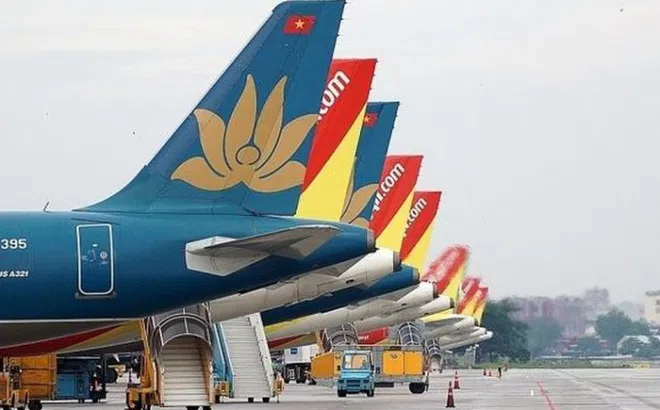 Các hãng hàng không đồng loạt giảm giá vé