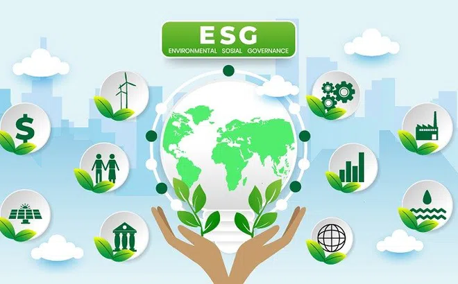 Nắm bắt xu hướng toàn cầu, các quỹ đầu tư tiên phong tìm kiếm cơ hội đầu tư ESG tại Việt Nam