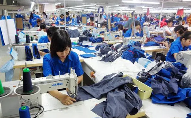 Hơn 700.000 người rút BHXH một lần: Lợi bất cập hại?