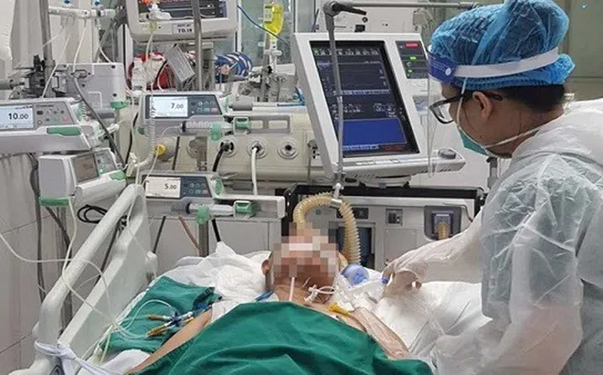 Tính đến sáng 26/11, Việt Nam có 751 bệnh nhân Covid-19 đang thở máy, can thiệp ECMO