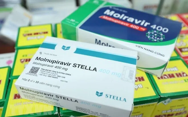 Bộ Y tế bổ sung hướng dẫn sử dụng thuốc Molnupiravir và Remdesivir trong điều trị Covid -19