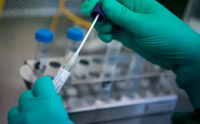 Vì sao nhiều người chưa từng mắc COVID-19 suốt 2 năm đại dịch? Chuyên gia nêu 5 lý do