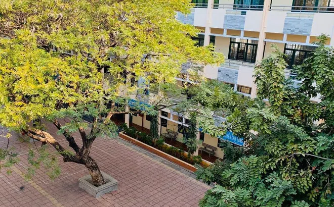Chào Phước Thắng thân yêu